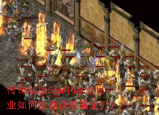 ����˽��5tm��սʿְҵ��ο��ٻ�ȡ��������