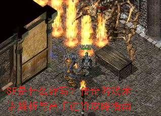 SF��ʲô��д��������Ϸ�����������ֽ��׹���ָ��