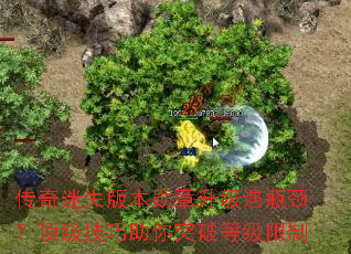 ������ʧ�汾ѫ��������ƿ����������������ͻ�Ƶȼ�����