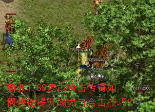 �¿�1.80���źϻ�������ο�������ս����ϻ����ɣ�