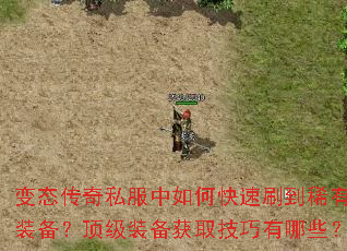 ��̬����˽������ο���ˢ��ϡ��װ��������װ����ȡ��������Щ��