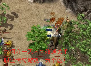 �����һ���ڸ�Чͨ�ص�ְҵ������Ϸʮ��������