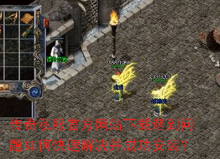 ����˽���ٷ���վ��������������ο��ٽ�����ɹ���װ��