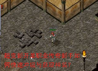 �����¿���ְҵ����������ο��ٳ弶���ȡ��װ��