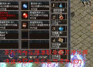 ���⴫��˽����ְҵ�¿�����ο��ٻ�ȡ�߼�װ��������ս����