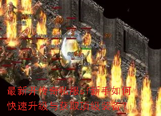 ���¿�����˽��sf������ο����������ȡ����װ����