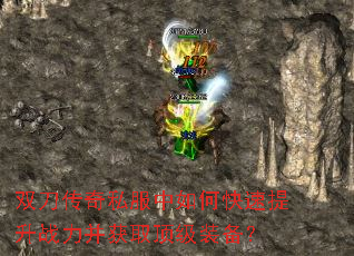 ˫������˽������ο�������ս������ȡ����װ����