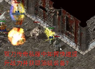 ˫������˽������ο�������ս������ȡ����װ����