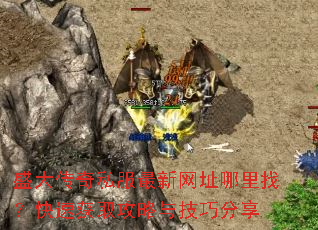 ʢ����˽��������ַ�����ң����ٻ�ȡ�����뼼�ɷ���