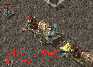 ����˽������ο���������ɫս������