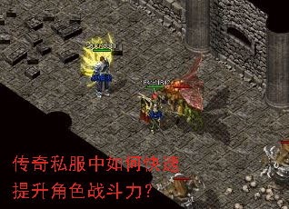 ����˽������ο���������ɫս������