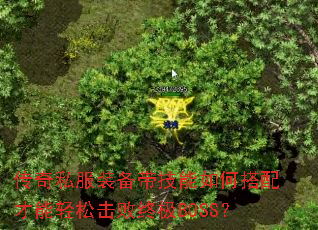 ����˽��װ����������δ���������ɻ����ռ�BOSS��