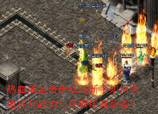 ��Ѫ��������˽��������ο�������ս�����ȡϡ��װ����