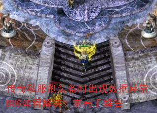 ����˽��ˢװ��ʱ���������쳣BUG��ν��������ֽ��