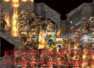 �������ŷ�ʦ��ο�������35���ٻ����ޣ�սʿPKʱ��������װ������ʵ��һ����ɱ�����°汾��ʿ�����˺���������Щ���ؼ��ɣ���ʦ�ڳ��µ�ͼ��ˢBOSS��Ҫ��Щ��λ���ԣ�