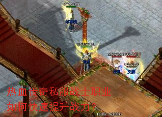 ��Ѫ����˽��սʿְҵ��ο�������ս����