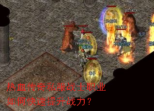 ��Ѫ����˽��սʿְҵ��ο�������ս����