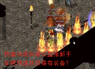 ��Ѫ�ɾ�˽�������������ο��ٻ�ȡϡ��װ����