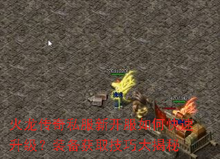 ��������˽���¿�����ο���������װ����ȡ���ɴ����