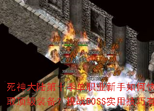 �����½��ʮ����ְҵ������ο�����������ȡ����װ������սBOSSʵ�ü�������Щ��