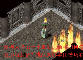 �����½��ʮ����ְҵ������ο�����������ȡ����װ������սBOSSʵ�ü�������Щ��