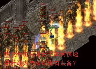 ���ϻ�˽��������ο�������ս�����ȡϡ��װ����