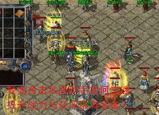 ���ϻ�˽��������ο�������ս�����ȡϡ��װ����