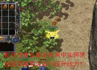 �¿�����˽������������ο��ٻ�ȡϡ��װ��������ս����