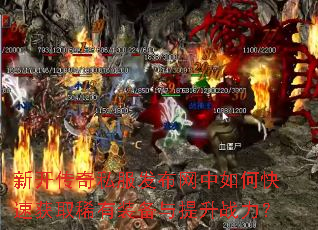 �¿�����˽������������ο��ٻ�ȡϡ��װ��������ս����