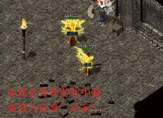 ����ڴ�����Ϸ�б����Ϊ��ʳ����ң�