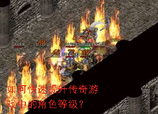 ��ο�������������Ϸ�еĽ�ɫ�ȼ���