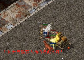 ��ο���������½������������