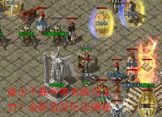 ��ʿ��������Ҳ�ܵ�������ȫ�������淨����