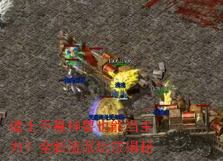 ��ʿ��������Ҳ�ܵ�������ȫ�������淨����