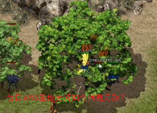 ����BOSSʥ��Ϊ������������٣�