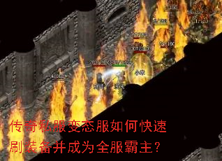 ����˽����̬����ο���ˢװ������Ϊȫ��������