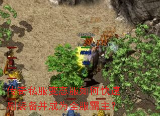 ����˽����̬����ο���ˢװ������Ϊȫ��������