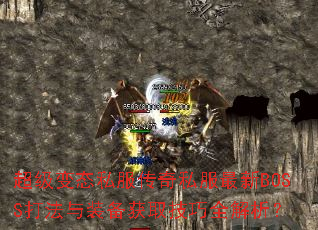 ������̬˽������˽������BOSS����װ����ȡ����ȫ������