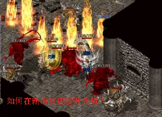 ������·����������Ȼ���