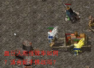 Ѫ����ˢ��Ч����Σ��ʺ�������ս��