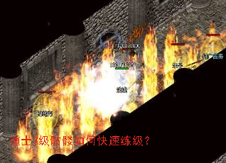 道士7级骷髅如何快速练级? 道士7级骷髅如何快速练级?
