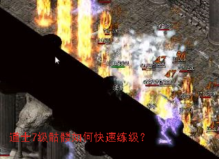 ��ʿ7��������ο���������