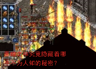 �ڰ�֮�񾿾���������Щ��Ϊ��֪�����ܣ�