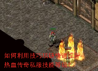 ������ü�����������������Ѫ����˽�����ܵȼ���