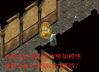 ��ͱ�̬��ְҵ������ο���ˢװ����ͻ��ս��ƿ����