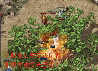 ��ְҵ����߼������ο��������ȼ���