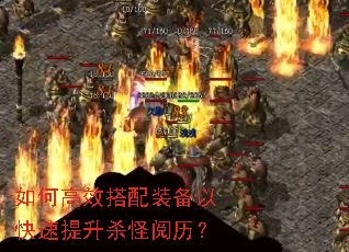 ��θ�Ч����װ���Կ�������ɱ��������