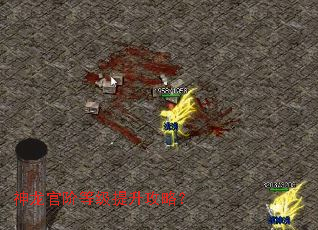 �����ٽ׵ȼ��������ԣ�