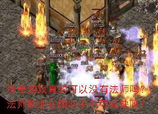 ������Ϸ��Ŀ���û�з�ʦ�𣿷�ʦְҵ���Ŷ��в��ɻ�ȱ��