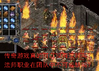 ������Ϸ��Ŀ���û�з�ʦ�𣿷�ʦְҵ���Ŷ��в��ɻ�ȱ��